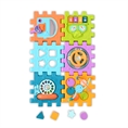 Activity Cube 